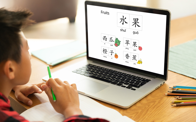 Boy using laptop for online Hanyu Pinyin fruit vocabulary lesson.